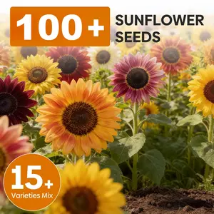 Sunflower Seeds Mixed-colored for Plant (100+), 6' Feet, 15+ Varieties Colored Sunflower,  Premium Seeds to Planting, for Outdoors, Garden, Attracts Pollinators sprouting wildflower bulk