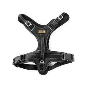 Comfortable No Pull Dog Harness with Neck Buckle