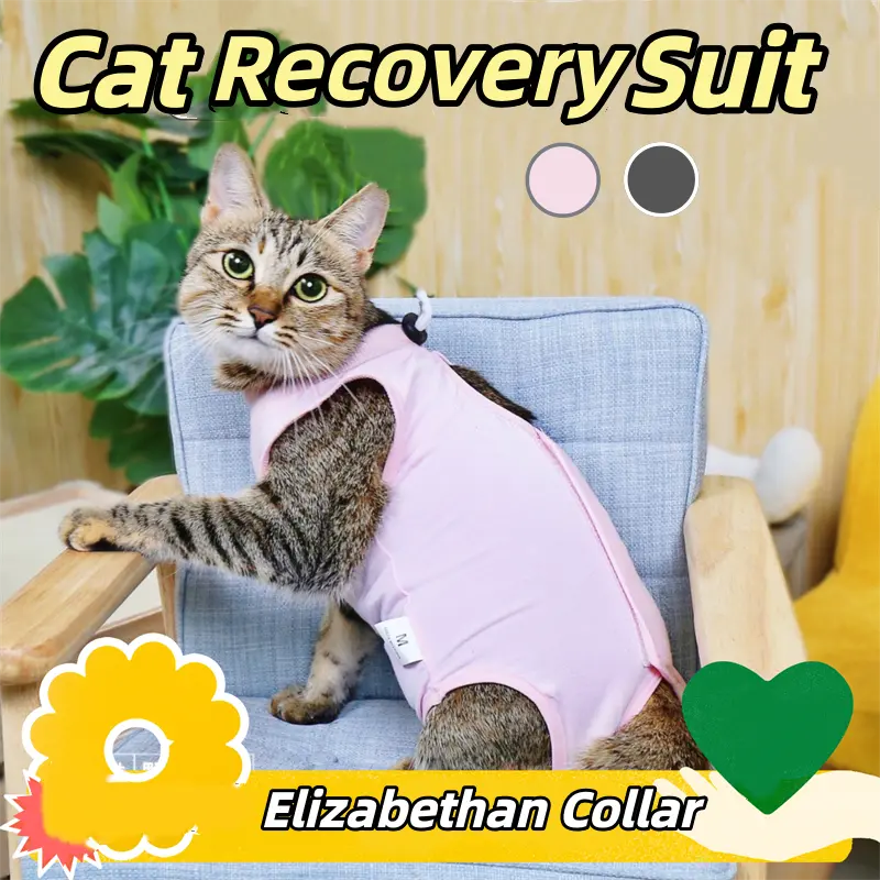 Female Cat Cotton Fabric Recovery Onesie - Universal, All Seasons, Gentle Fit for Kittens - Post-Surgical Spay Shirt with Abdominal Wounds Protection, Protective, Machine Wash