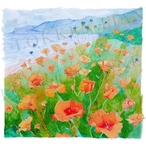 Watercolor Poppies - PRINT