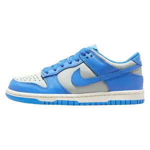 Youth Nike Dunk Low Light Silver/LT Photo Blue (FB9109 004) (GS)