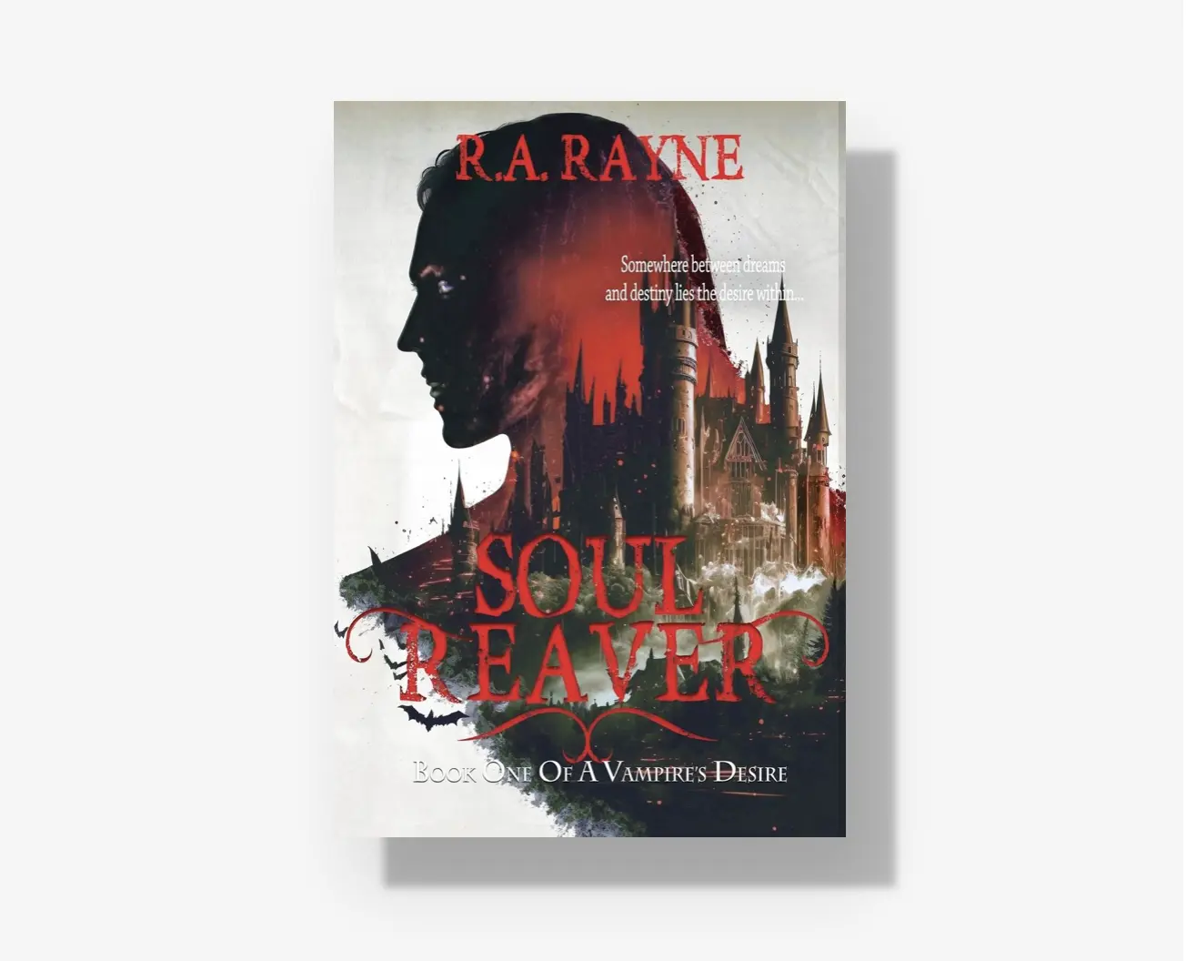 Soul Reaver by R.A. Rayne - Vampire Literature & Art Novel About a Soul-Consuming Vampire Confronting His Existence and Place in the World
