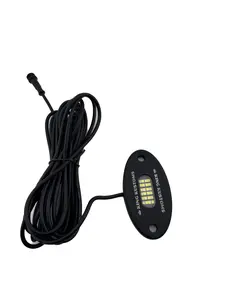 24 LED White P&P Rock Light