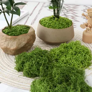 1 pack of Fake Moss - Artificial Moss for Plants Indoor Faux Grass for Planters Fake Grass Decor for DIY Decorating Craft Art Potted Wedding Accessories Fairy Garden Accessories, Decorative Ornaments, House Plants Decor