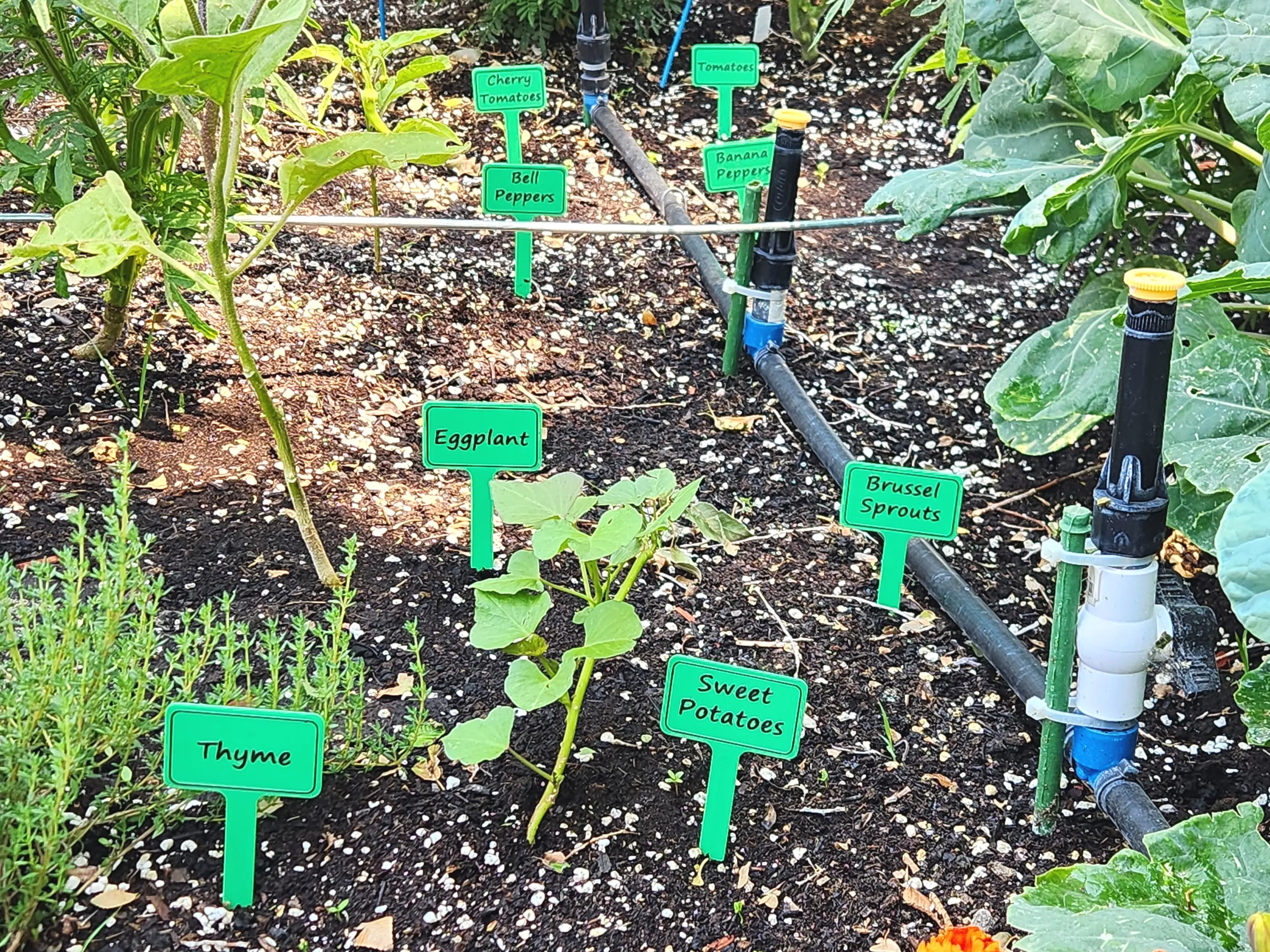 Garden plant stake, vegetable name markers, raised bed labels, little herb sign