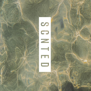 SCNTED