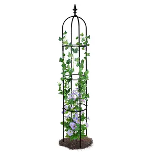 Garden Obelisk Trellis for Climbing Plants Outdoor 6.2 Ft Rose Bush Round Trellis for Pots Rustproof Metal Plant Flower Trellises for Clematis Vine Jasmine Support Outdoor Indoor