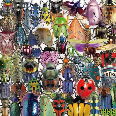 Insect Pattern Sticker, 50pcs/set Realistic Style 3D Decorative Sticker, Art Stickers, Waterproof Self Adhesive Decor Paper for Gift Greeting Card Water Bottle Laptop Phone, Phone Decoration