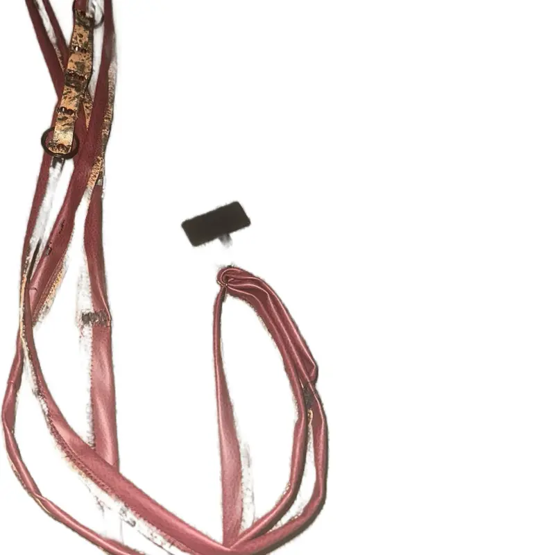 Jewelz  cellphone body lanyard