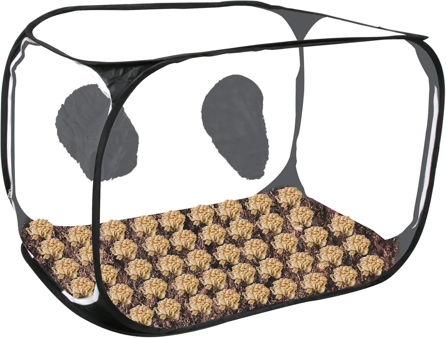 Portable Still Air Box Mycology with Pop Up Mushroom Growing Kit - Ideal for Mushroom Cultivation in Office and Mycology Enthusiasts (Black)