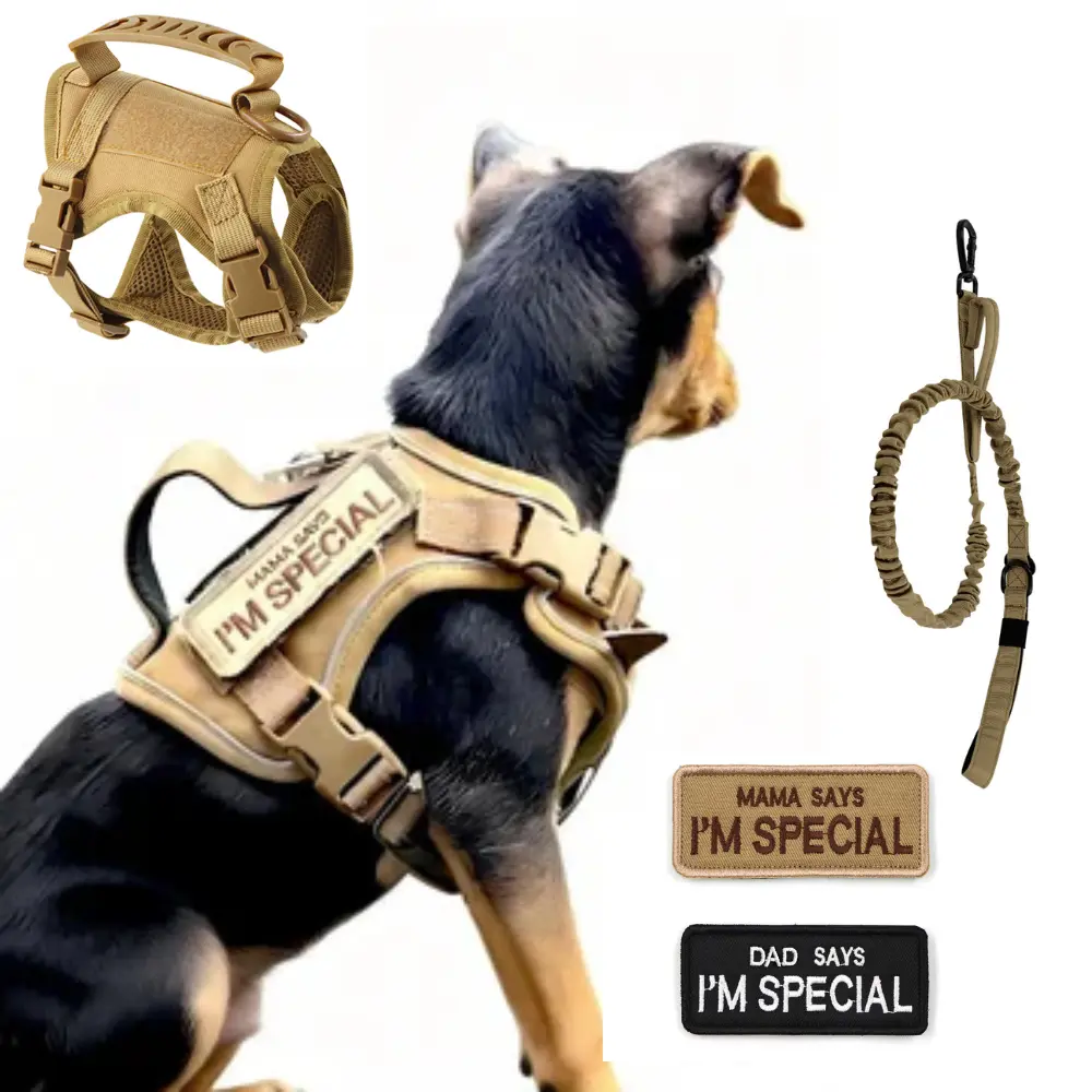 Tactical Dog Harness Set for Small Dogs and Cats -#backtoschool-Dog Vest Dog Leash with 2 patches Dog Car Harness