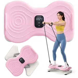 Waist Twist Exercise Tool with Display Counter – Noiseless Home Gym Equipment for Slim Waist & Belly Training