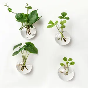 4 Pack Hanging Wall Vases, Glass Hainging Planter Propagation Station Terrarium, 4.7" Globe Wall Planters for Indoor Plants,Home Decor