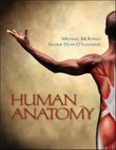 USED-Human Anatomy by Michael McKinley (Hardcover)