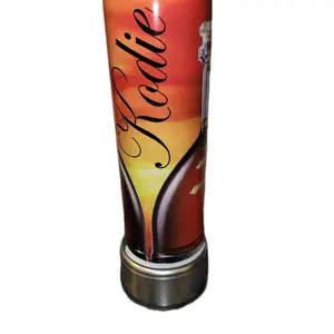 Dusse Inspired Tumblers with Fruit Ice Toppers