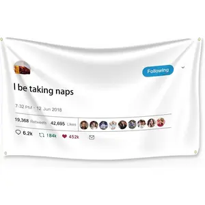 Tapestry Tweet flags, I be taking naps with Installation tool, Funny Flags for Room College University Dorm Guys Rapper wall Decorations meme Gift 40x60inch
