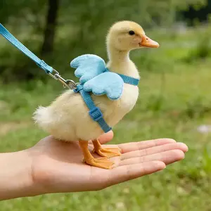 1pcs Coon Duck Leash, Pet Duck Harness for Small Ducks, Outdoor Winged Animal Lead Rope, Chicken and Duck Leash, Pet Duck Supplies