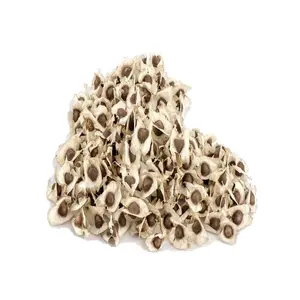 Moringa Seeds for Planting and Eating Natural PKM1 Variety Nutrient-Dense Edible 20 Seeds from Moringa Tree Pods