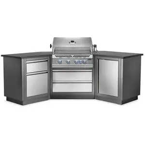 Sturdy Stainless Steel Patio Outdoor Kitchen Grill - Patio Elegance OASIS™ 200 with Built-in 700 Series 32 in Gas Grill and Convenient Handles