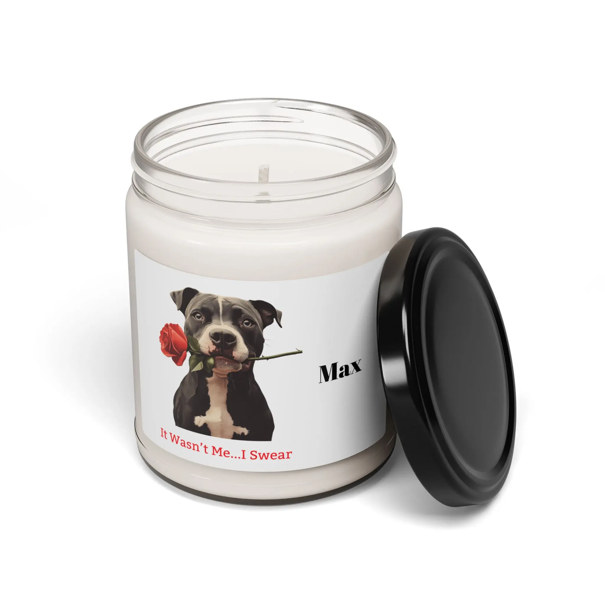 Personalized Pet Lover Scented Soy Candle 9oz - Birthday & Housewarming Gift It Wasn't Me Design Highly Scented Cozy Decor Eco Friendly Non Toxic Glass Customizable with Pet's Name