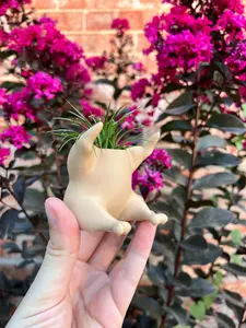 Unique Turkey/Chicken Succulent Planter: 3D Printed Modern Indoor Decor with Drainage for Cactus & Air Plants