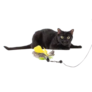 Gotcha! Feather Wand Toy Attachment