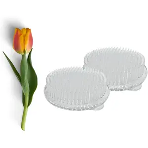 Reusable clear plastic floral frogs with strong suction cups, 2-pack flower holder pins, circular shape for secure, stable arrangements and easy reuse
