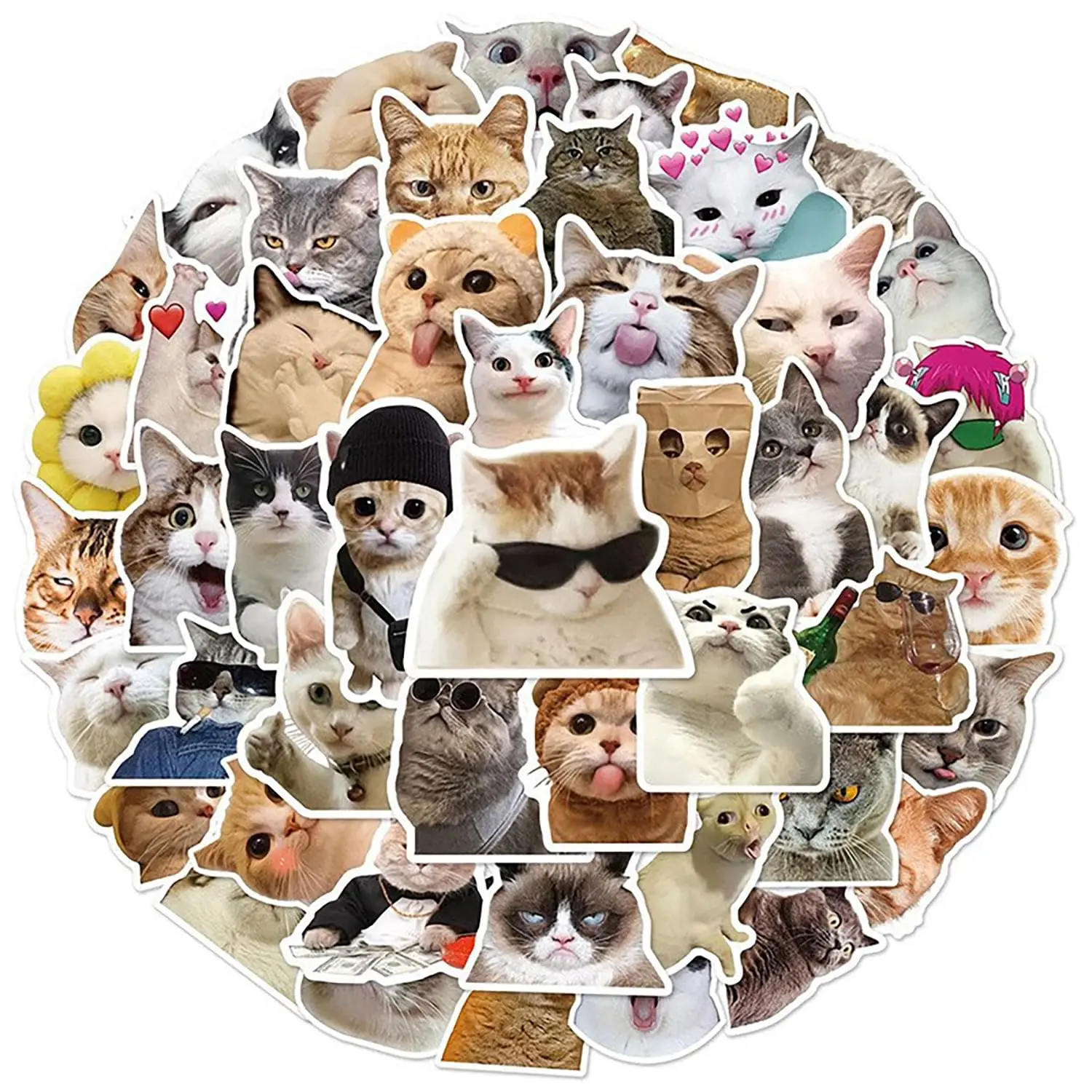 100-Pack Vinyl Funny Cat Stickers - Cute Animal Character Sticker Pack for DIY Scrapbooking, Notebook Decor, Water Bottle Personalization (Toys & Hobbies Stamping Supplies)