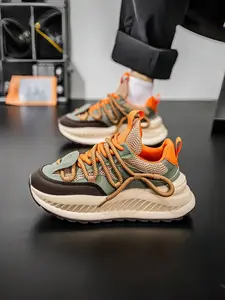 Men's shoes summer breathable mesh thick sole niche design casual sports shoes Sneaker anti slip and wear-resistant high-end feel dad trendy shoes Mesh Fabric Sneakers