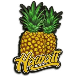2-D Wooden “Pineapple” Magnet