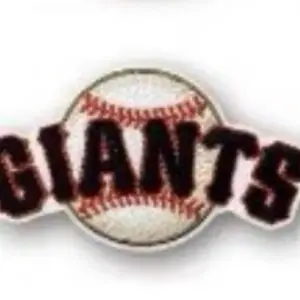 Random 25 card lot- GIANTS