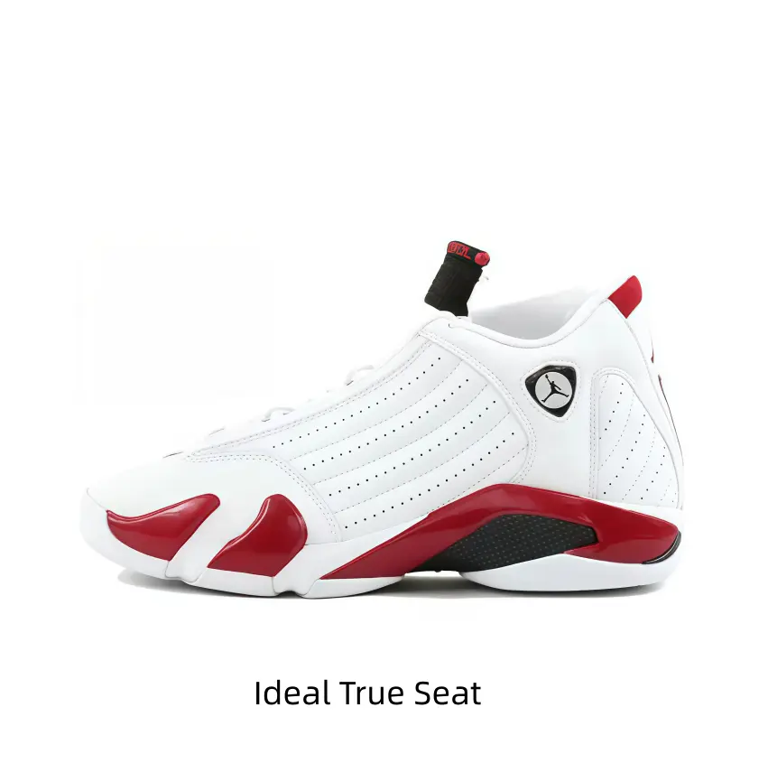 Artistic Sole Design Collectible Sports Shoes