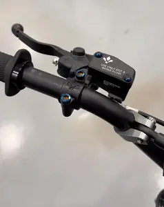 Titanium brake reservoir bolts