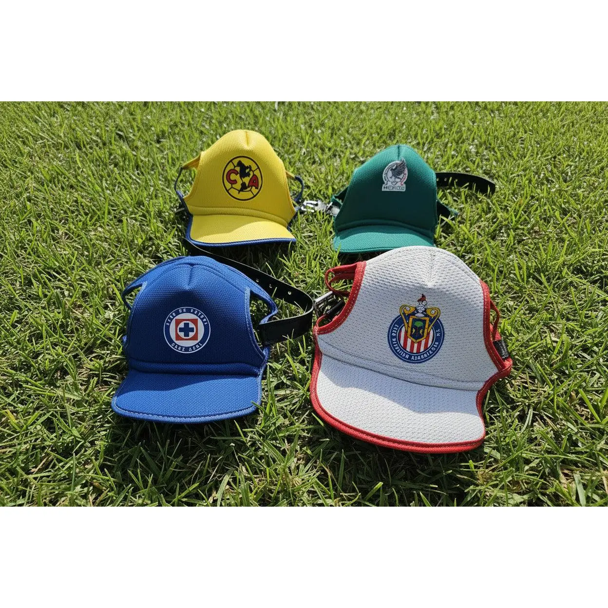 Gorritas Gorritas