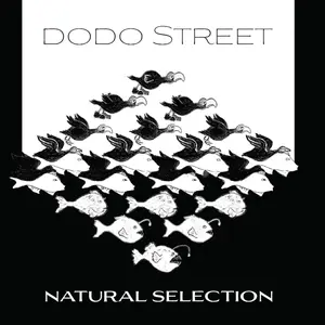 Adams / Dodo Street Band / Byrne - Natural Selection  [COMPACT DISC - CD]