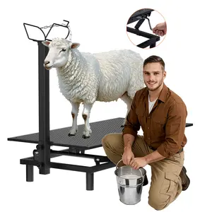 COMHOMA Goat Milking Stand with Hand Crank – 48"x23" Adjustable Headpiece & Height, for Grooming, Milking, Hoof Trimming, Heavy Duty Metal Sheep/Goat Stand, 500 LB Capacity, Black