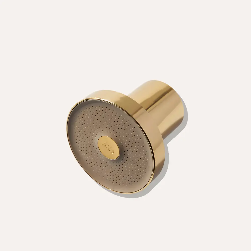 Filtered Showerhead