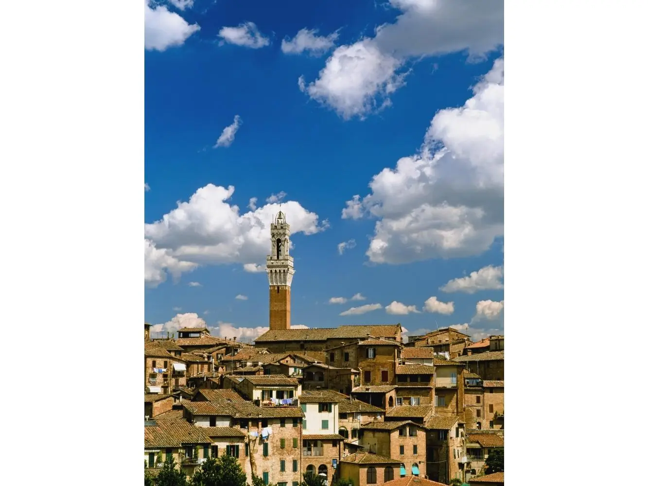 212 MAIN Torre De Mangia & Siena Skyline Artistic Wall Poster Print - 26x36 Large Room Decor, Ideal Gift for Home Supplies