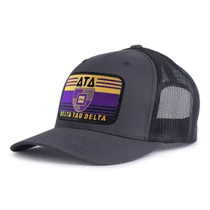 DELTA TAU DELTA 6-Panel Frat Rush Hat Grey