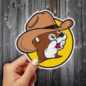 Texas Sticker