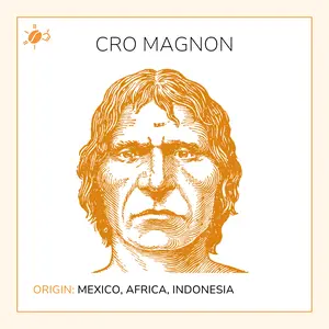Cro Magnon