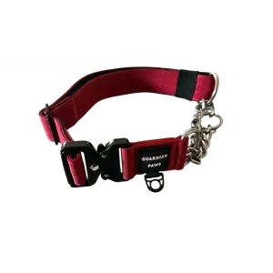 Guardian Paws Martingale Collar (PRE-ORDER)