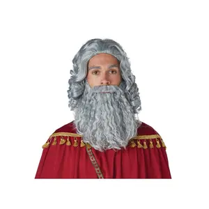 Wise Man Gray Wig and Beard