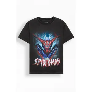 PacSun Men's Spider-Man Protector T-Shirt - Multicolor