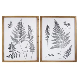 Young's Wood Framed Wall Botanical Art on Paper, Set of 2