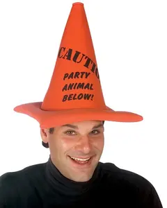 Party Animal Below Cone Hat