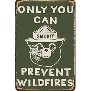 Vintage Retro Metal or Aluminum  for Home Coffee   8x12 Inch Only You Can Prevent Wildfires for Living Room Bathroom  funny tin  friend ideal gift accent humorous  family lover sign   warning decoration stuff wedding arrangement religious wall decor