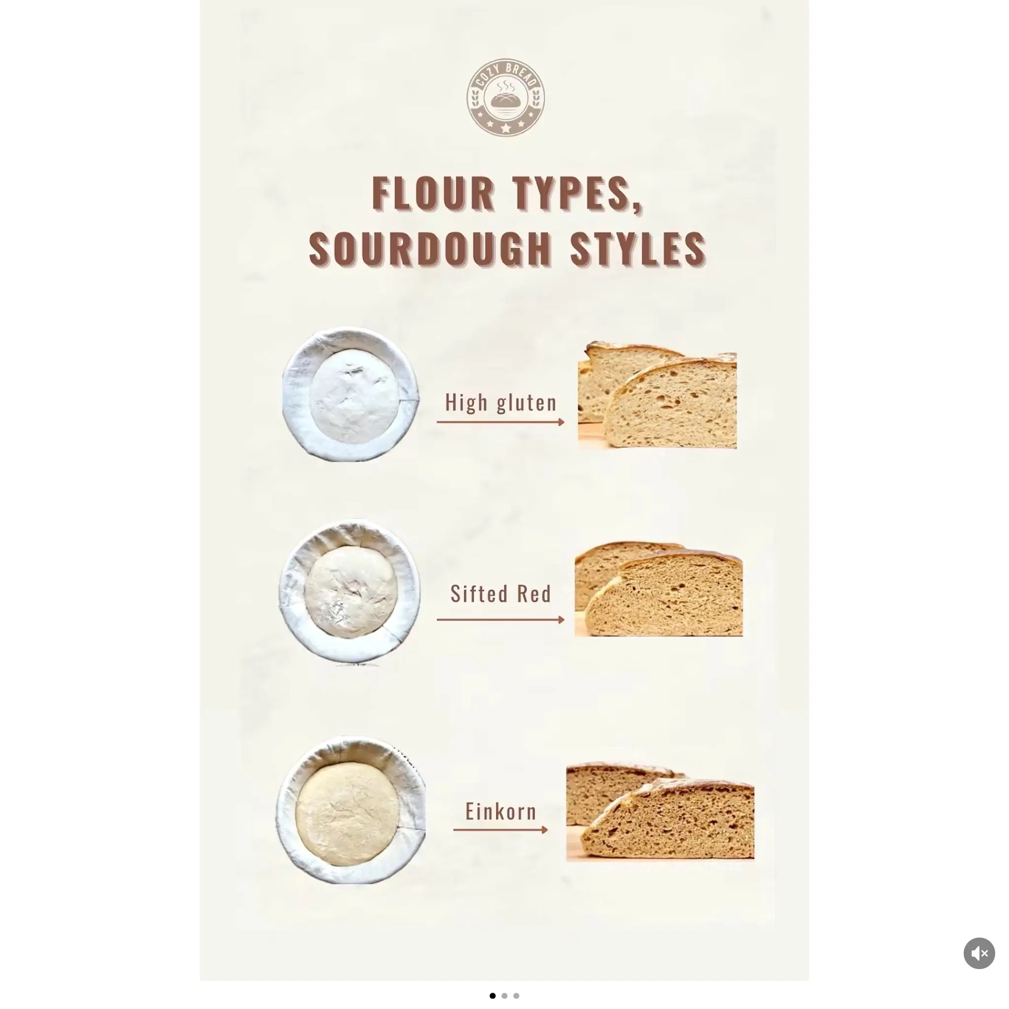 Sourdough Starter Bread Kit for Baking Enthusiasts - Includes Sourdough Starter, Suitable for All Skill Levels, Easy to Use, Perfect for Home Baking Bakeware