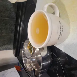 Dashboard Tea Company Wellness Combo (Compare to Starbucks "Medicine Ball") Beverage Peach Citrus Mint Green Tea Drink