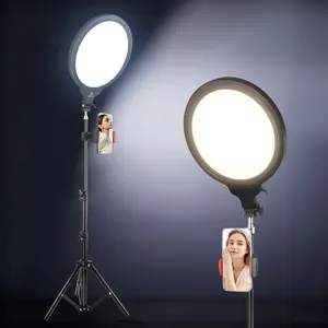 10.0 Inch USB Powered LED Ring  light tripod , 3000K-6000K, CRI>95, 10W, Portable Desktop Light with Retractable Phone Holder for Video Conferencing multipurpose tripod selfie stand